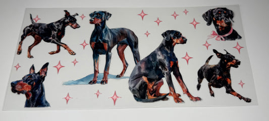 Doberman