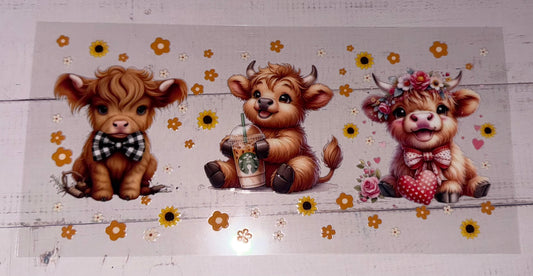 Highland Cow Starbucks #5