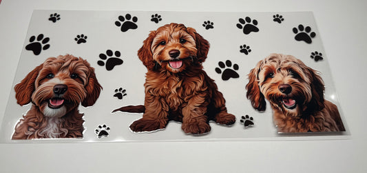 Golden Doodle